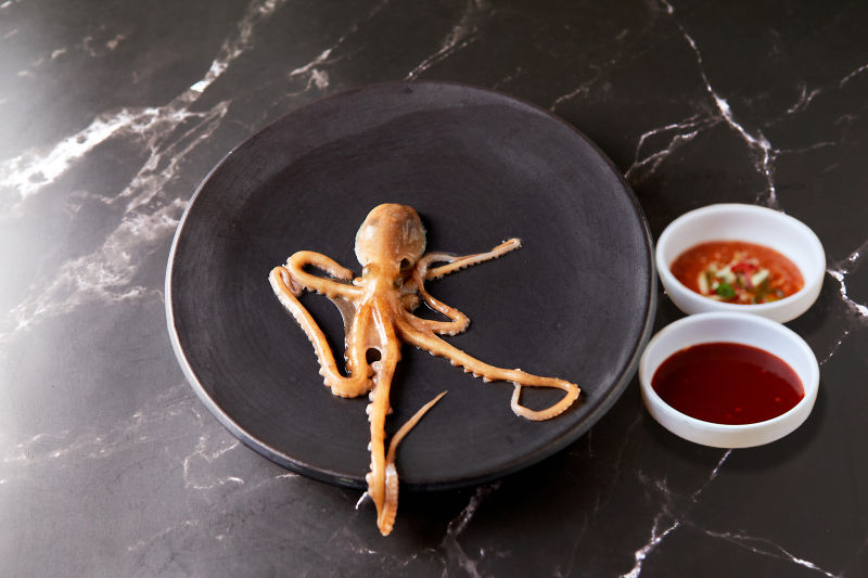 Exploring the Delights of the Raw Thin-Legged Octopus (세발낙지)