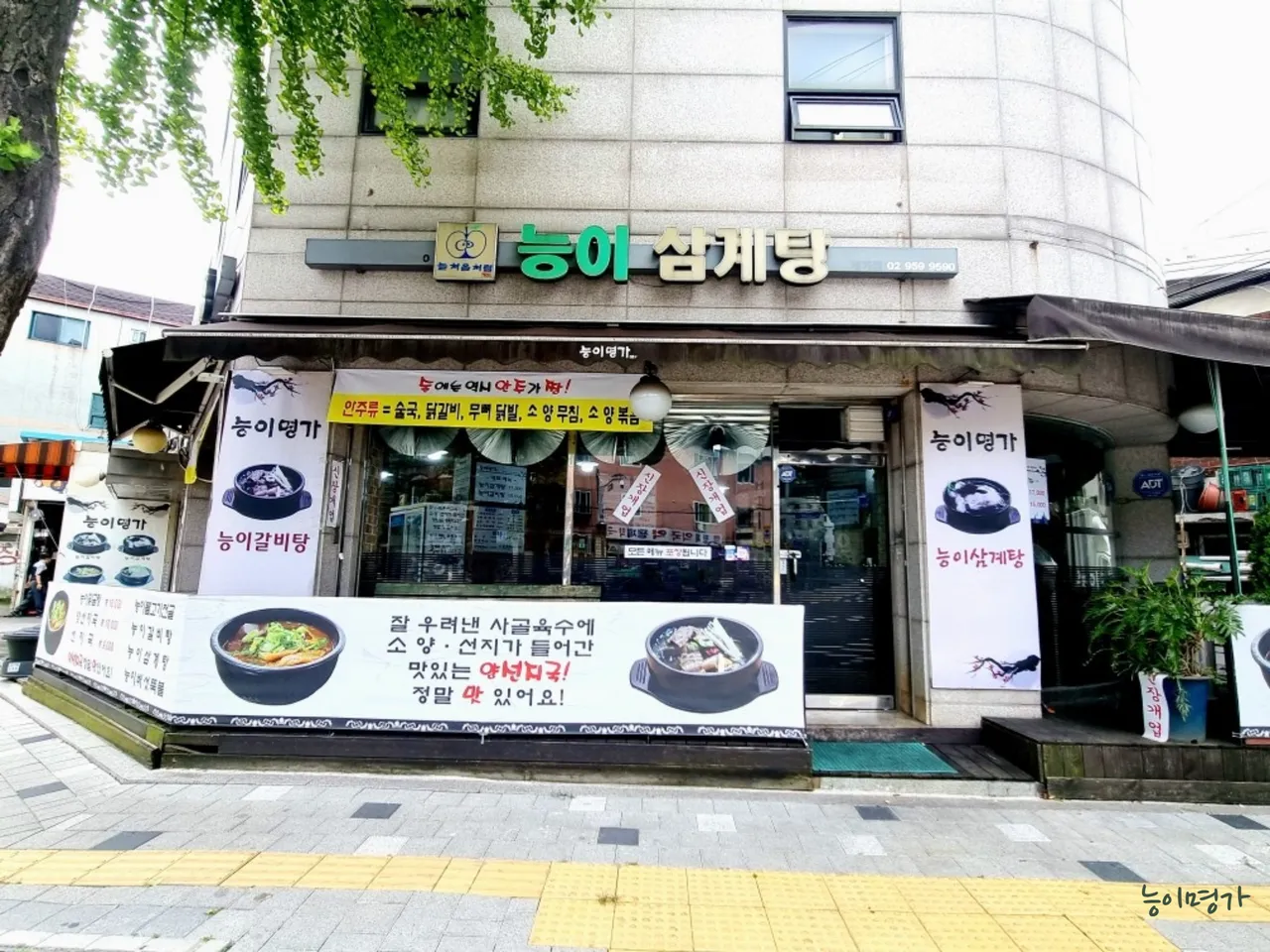 능이명가