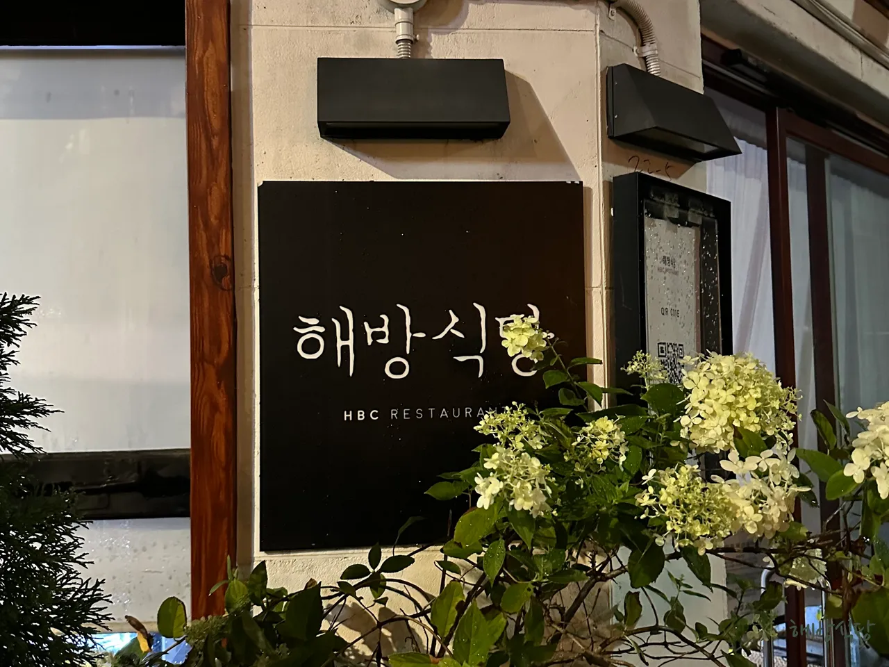 Ultimate Korean Pasta Restaurant Guide in Pil-dong, Jung-gu: 3 Picks