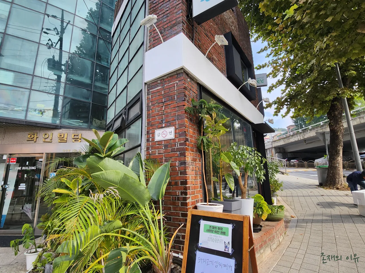 Explore Sinchon-dong, Seodaemun-gu’s Korean Soy Sauce Marinated Crab Scene: 3 Restaurant Recommendations